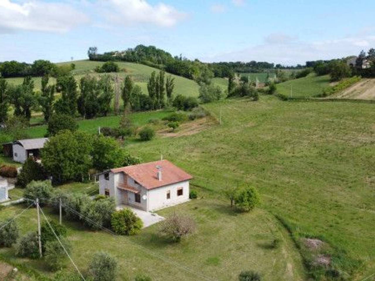 immagine annuncio 9 di 15