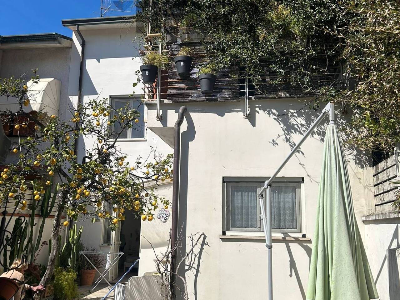 immagine annuncio 3 di 11