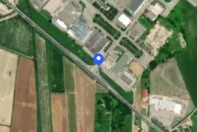 insertion image