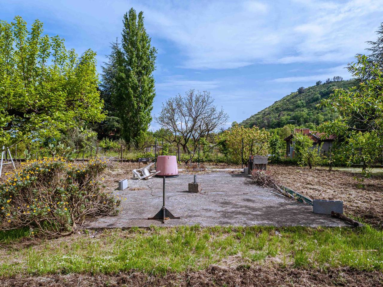 immagine annuncio 9 di 15