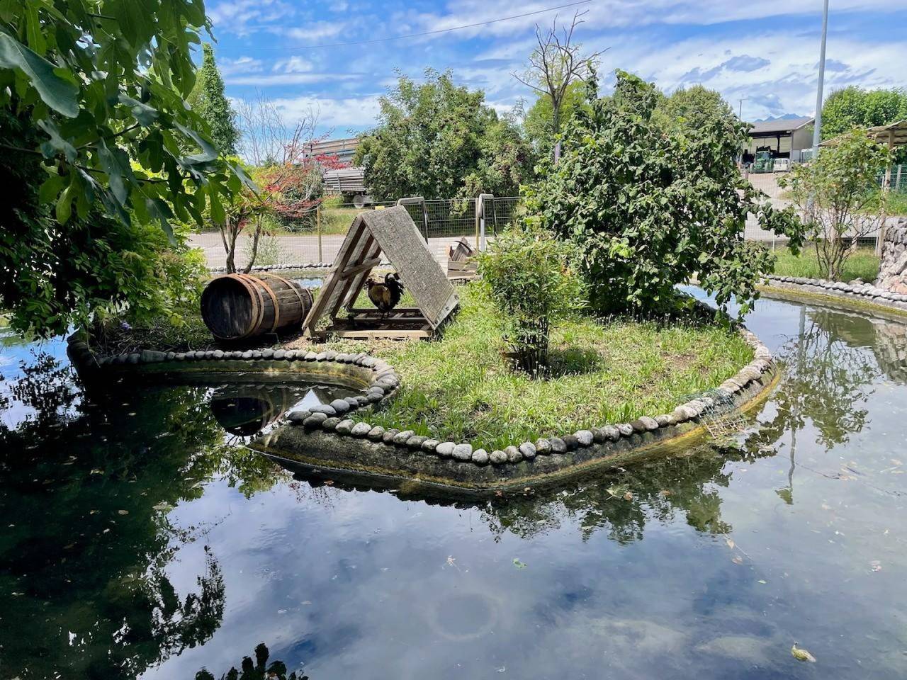 immagine annuncio 5 di 11