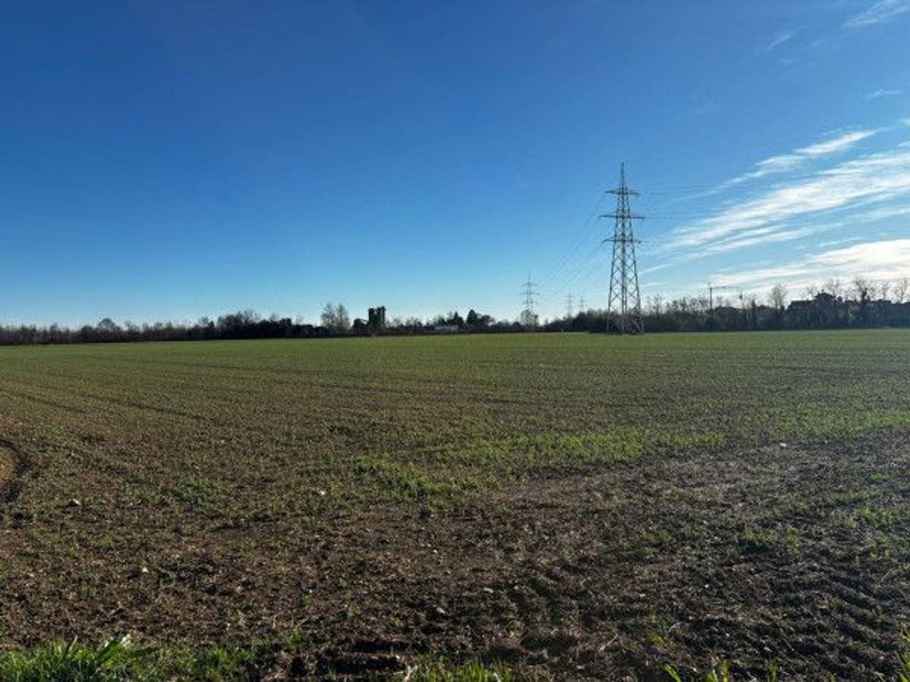 immagine annuncio 9 di 11