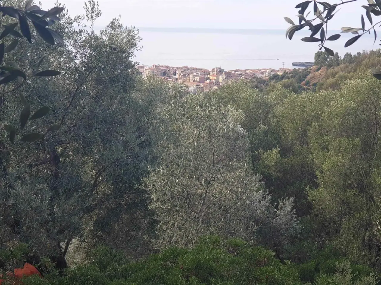 Agriturismo in  Camerota, Camerota, {3} - Foto 1