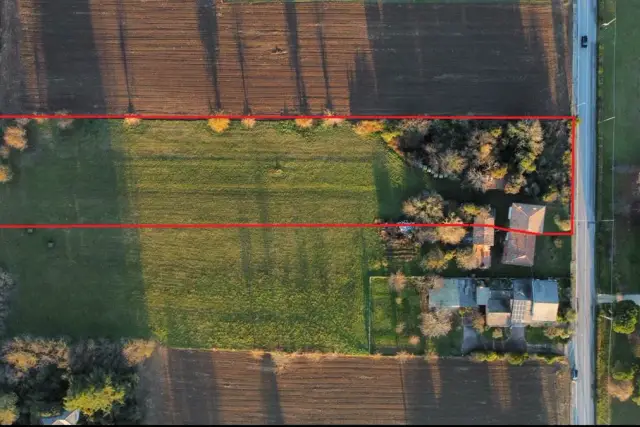 insertion image