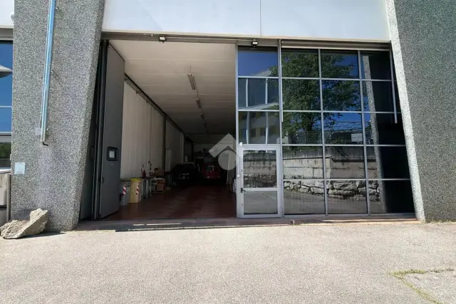 insertion image