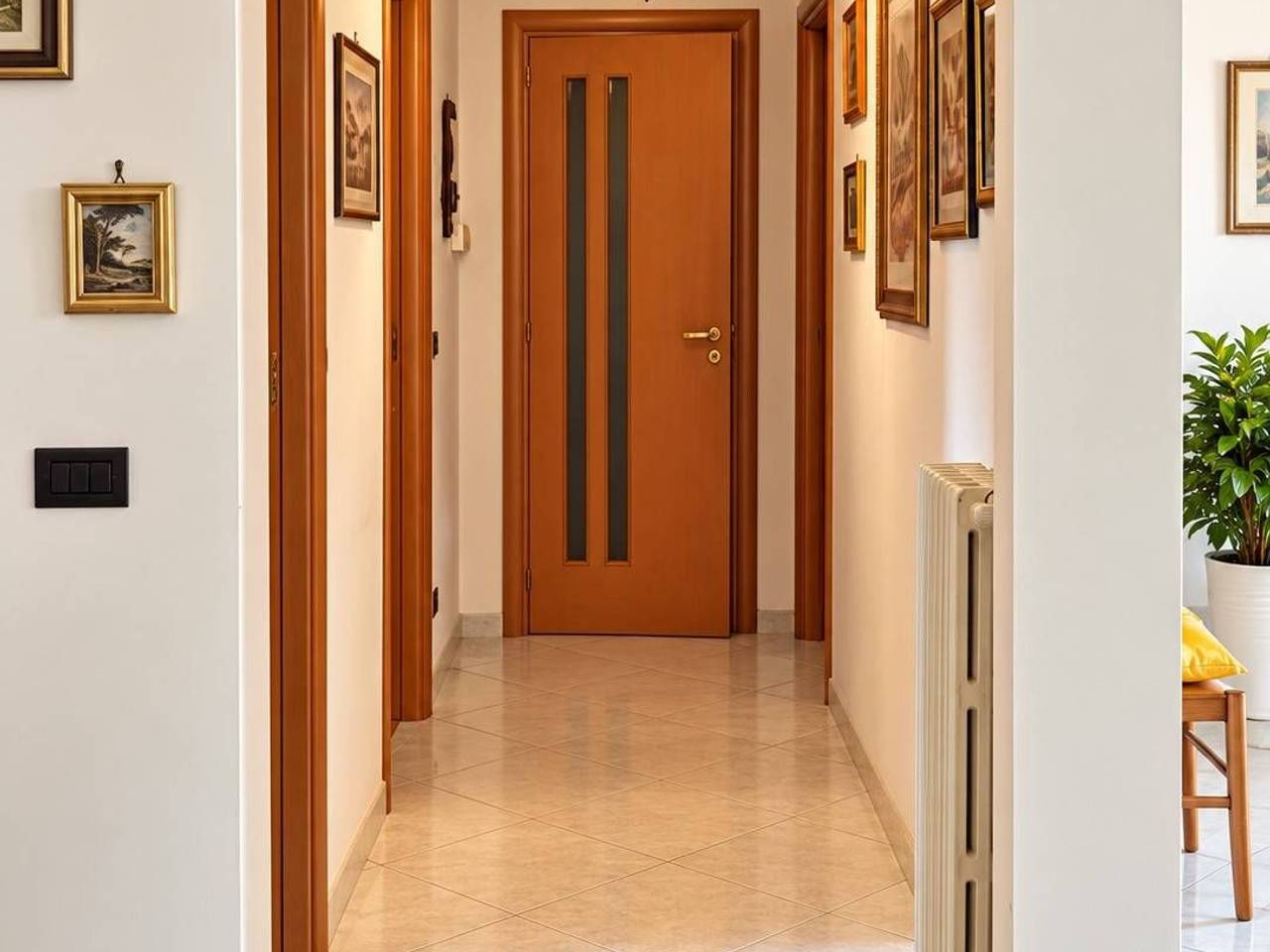 immagine annuncio 5 di 8