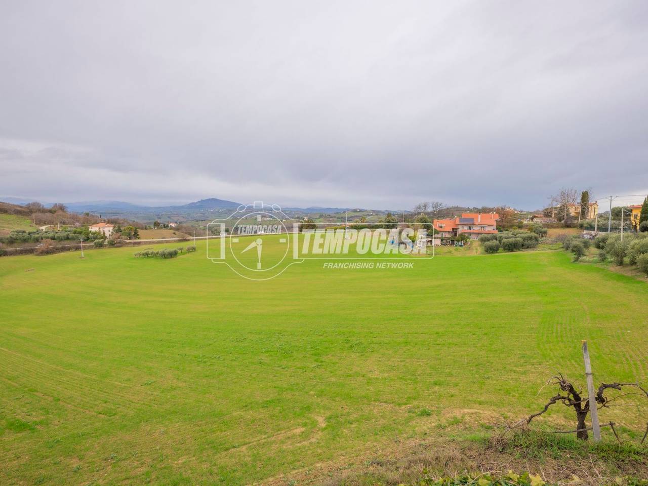 immagine annuncio 3 di 7