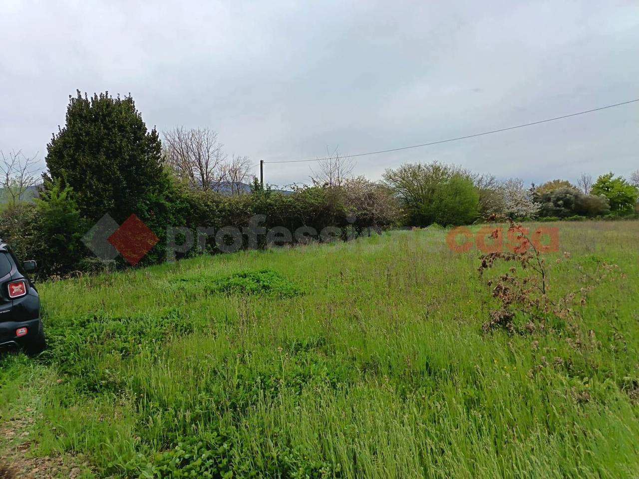 immagine annuncio 8 di 11