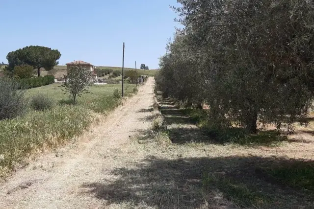 Terreno agricolo, Caltanissetta - Foto 1