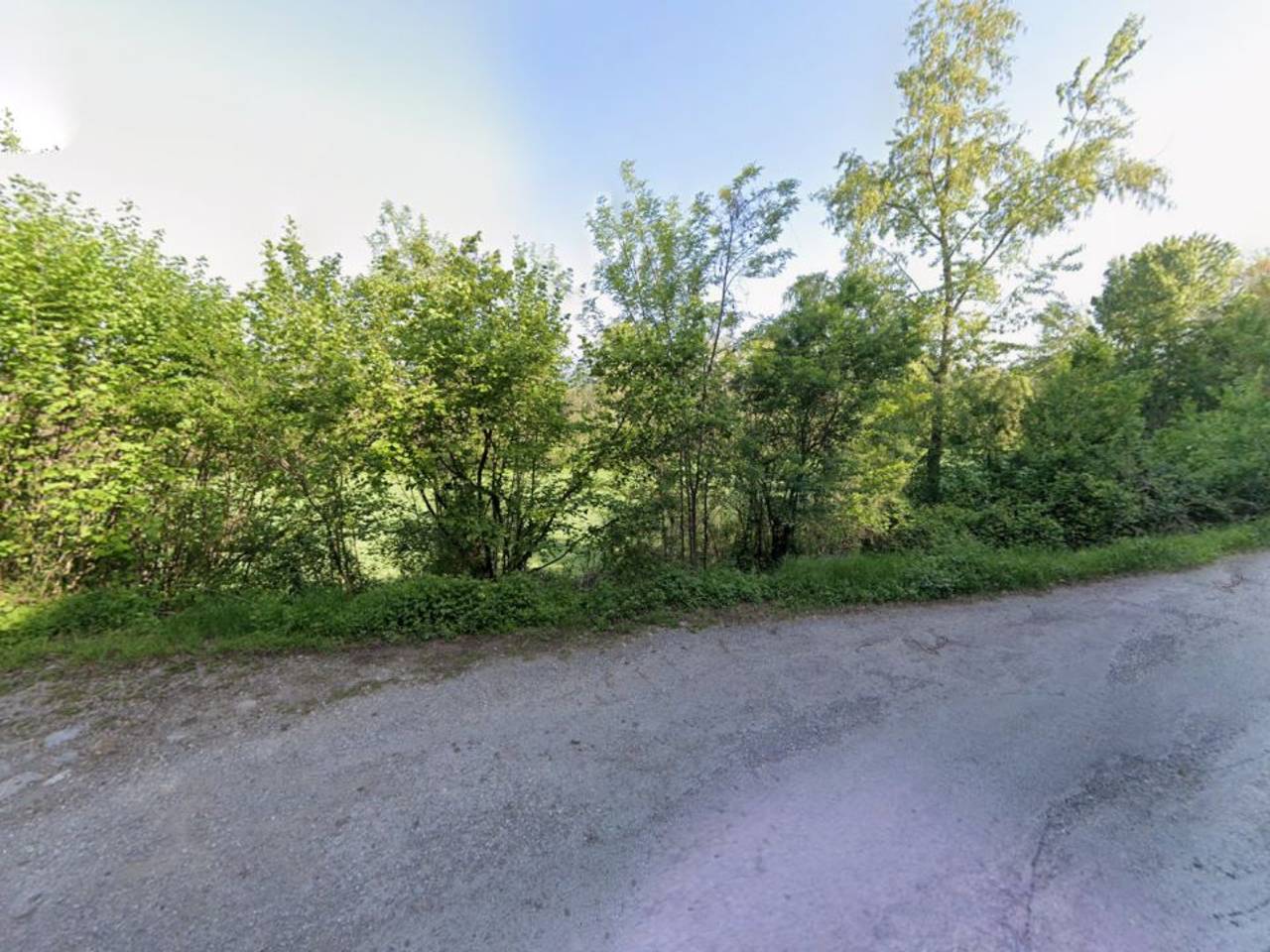 immagine annuncio 11 di 13