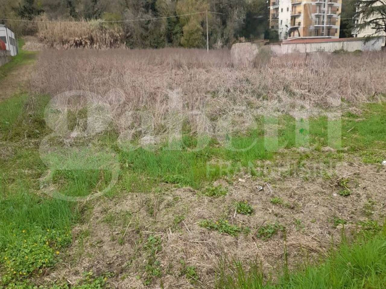 immagine annuncio 2 di 8