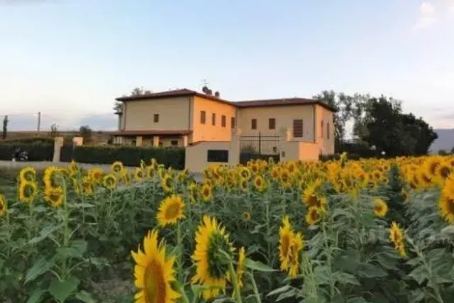 2-room flat in Via Fonda di Iolo 9, Prato - Photo 1