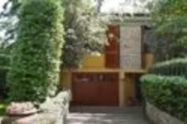 insertion image