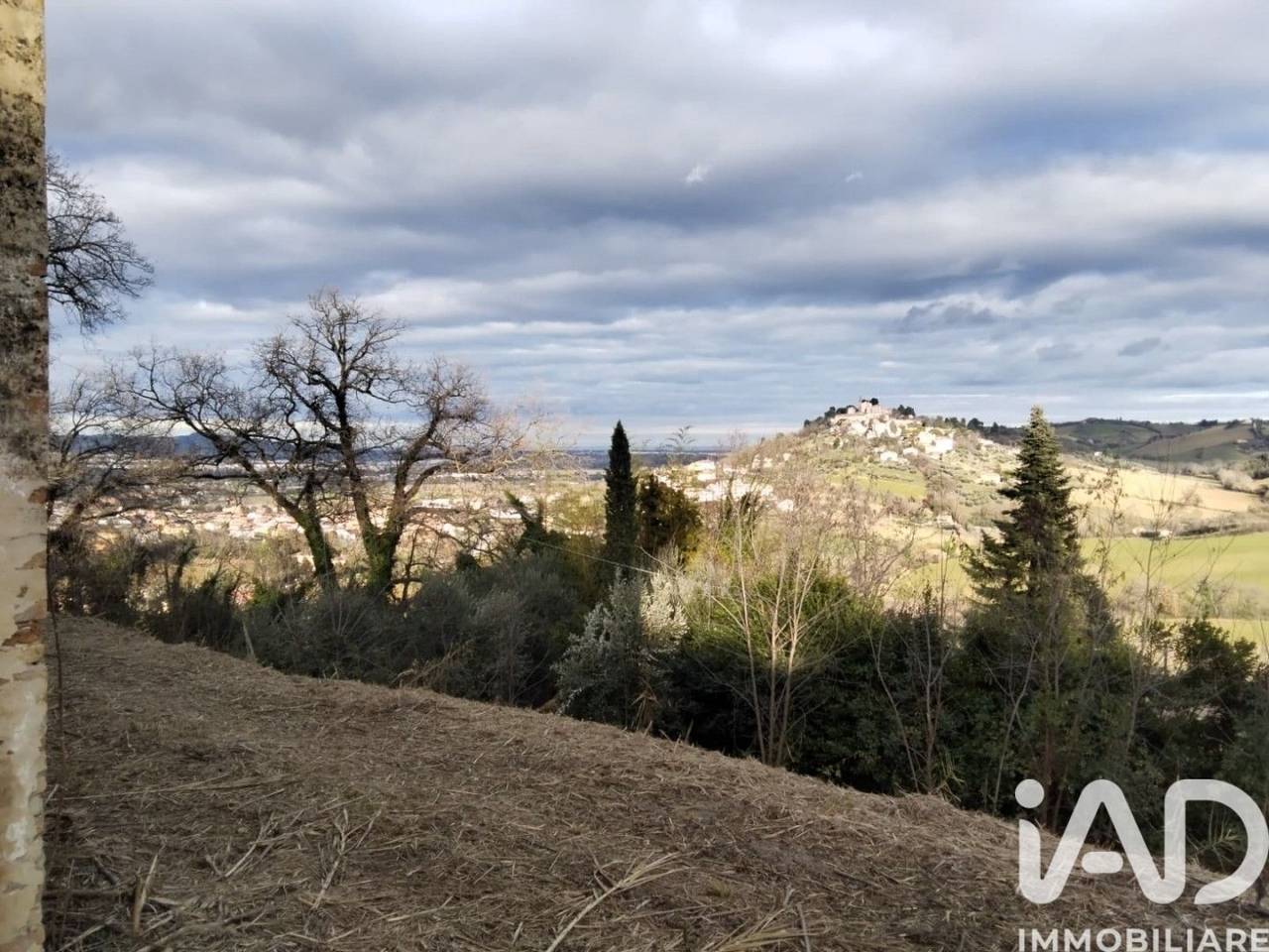 immagine annuncio 8 di 13