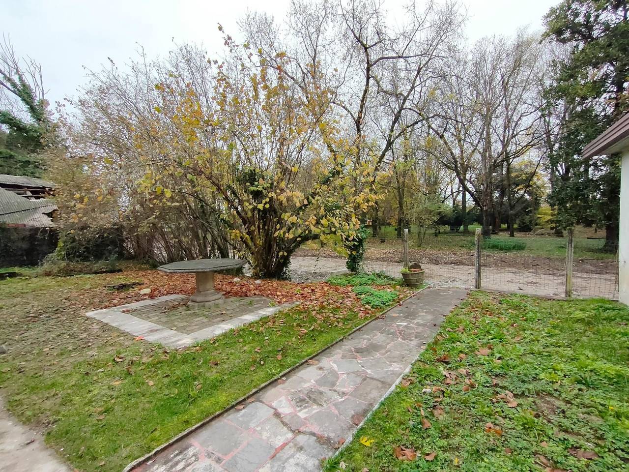 immagine annuncio 7 di 11