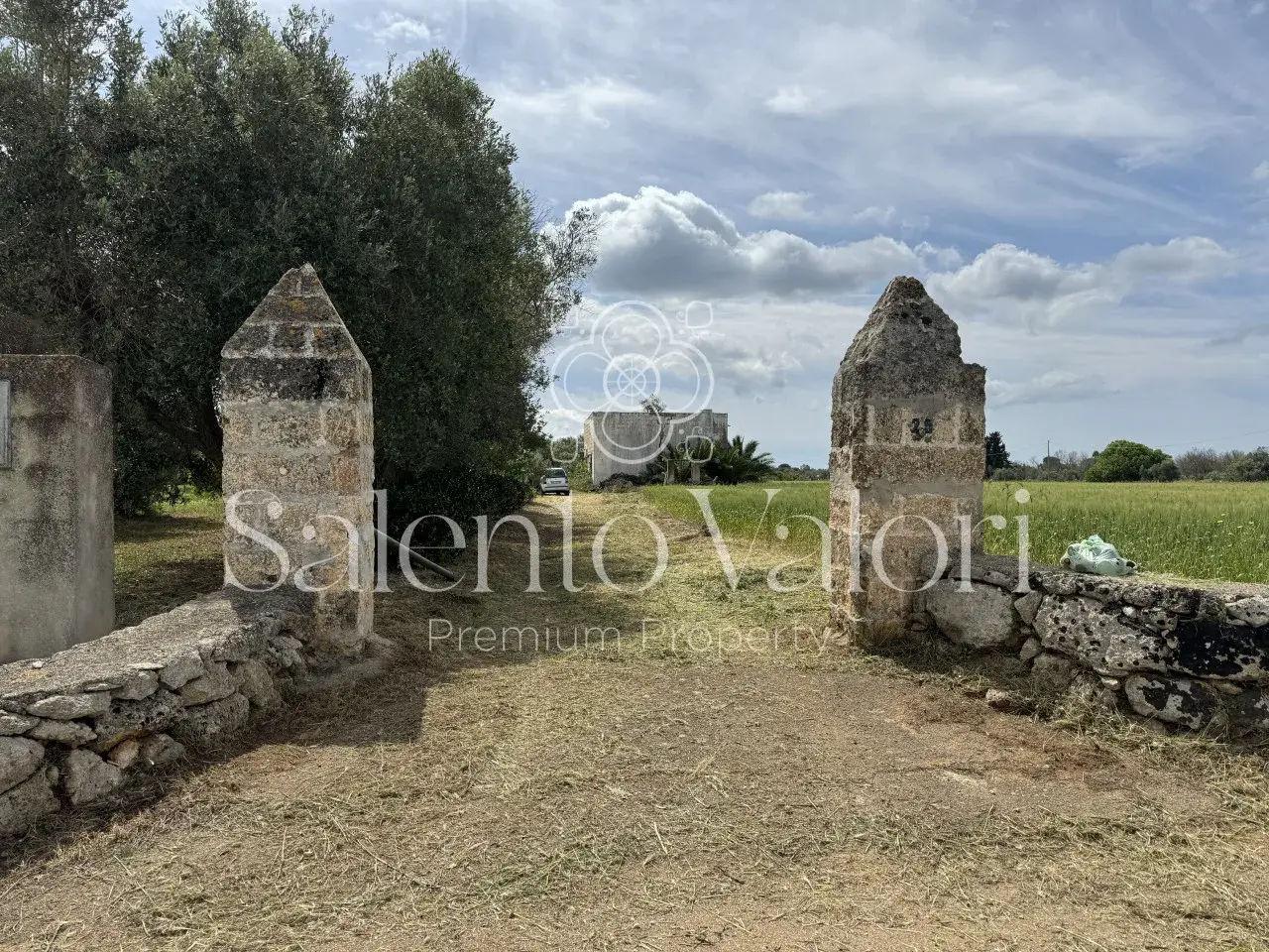 Azienda agricola in Contrada La Corte, Parabita, {3} - Foto 1