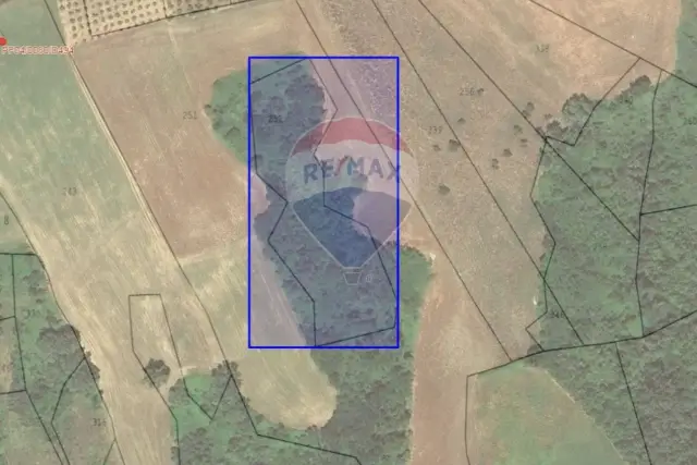 insertion image