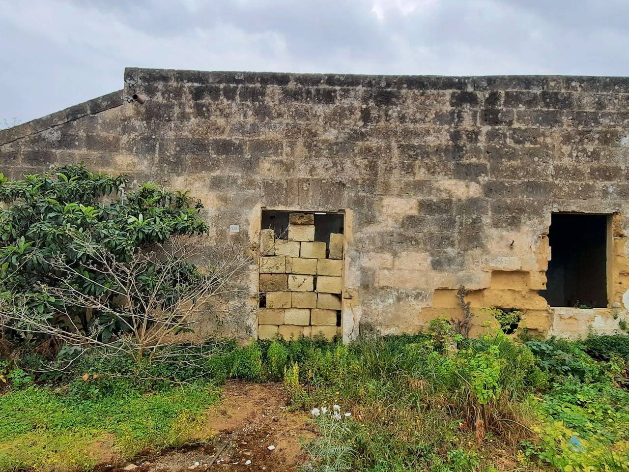 immagine annuncio 1 di 2