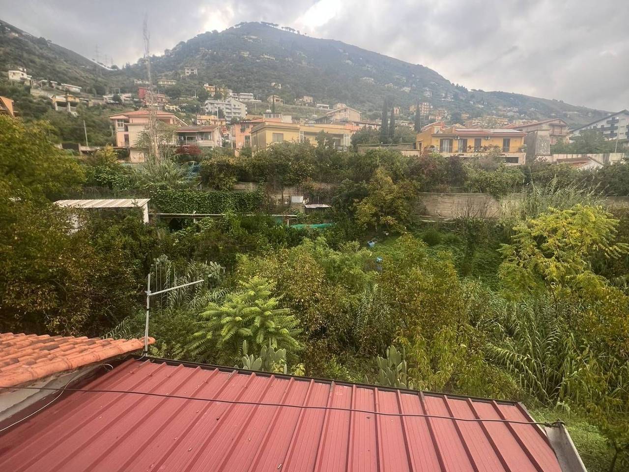 immagine annuncio 3 di 12