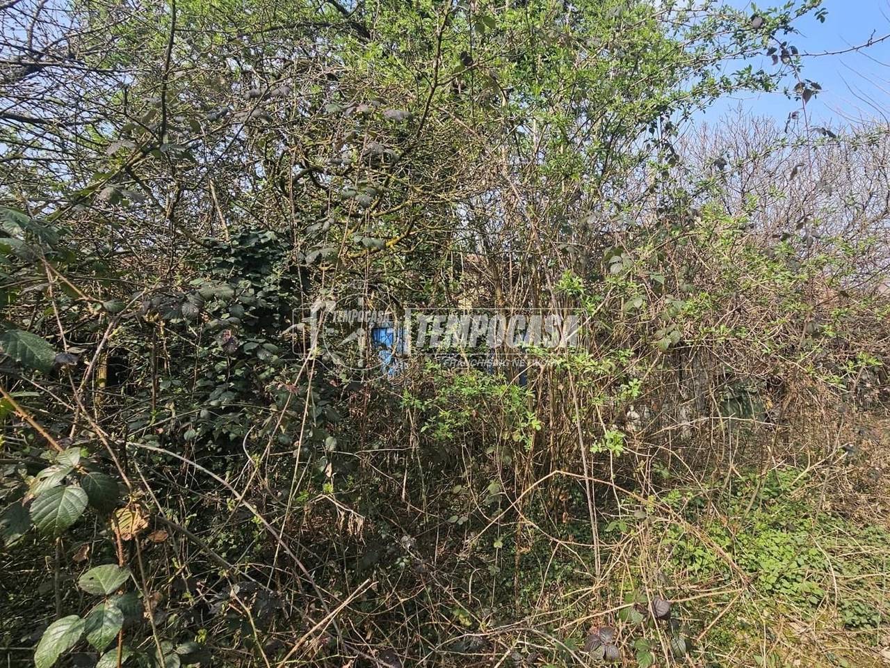 immagine annuncio 10 di 12