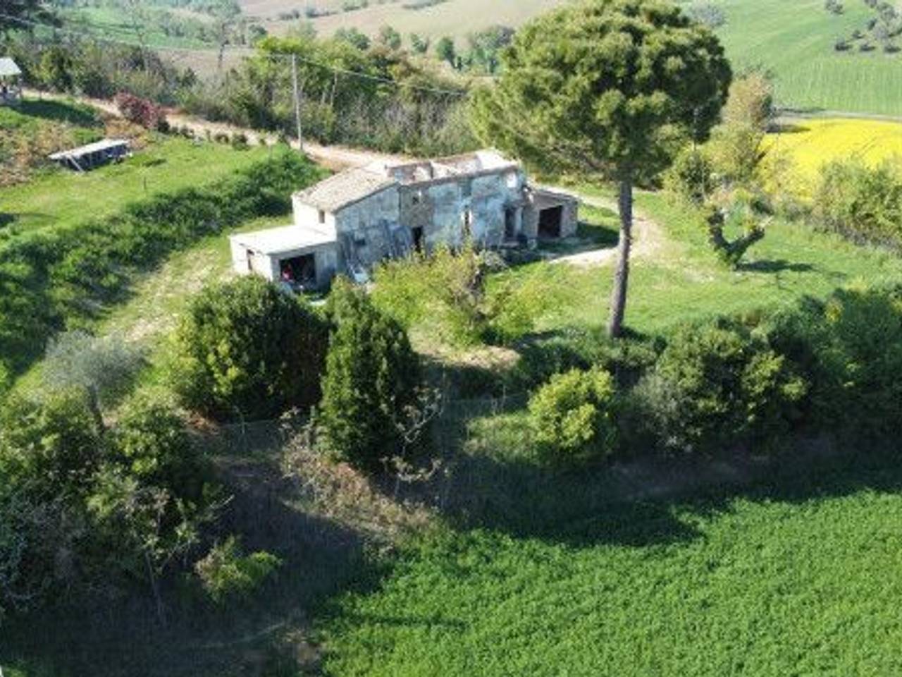 immagine annuncio 10 di 12