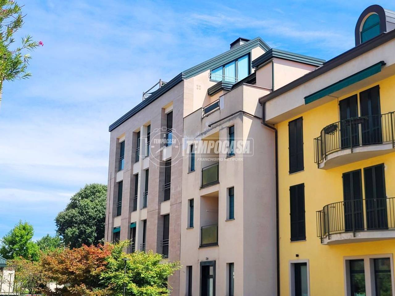 immagine annuncio 1 di 15