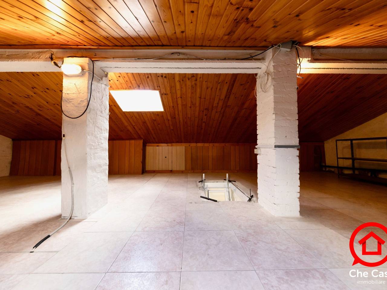 immagine annuncio 6 di 14