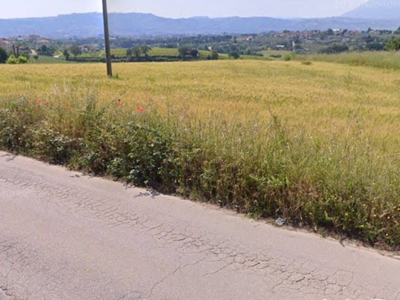 immagine annuncio 7 di 12