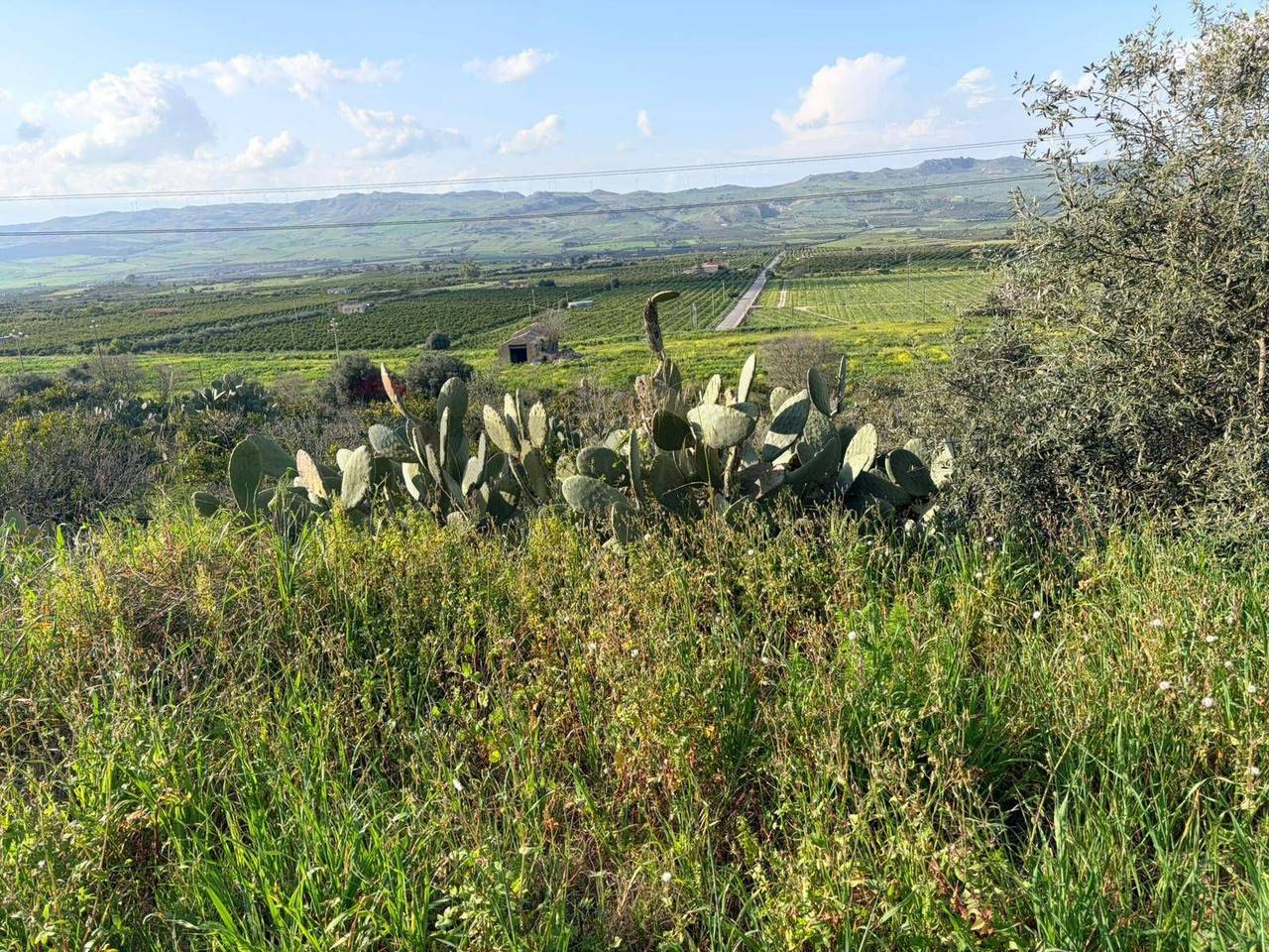 immagine annuncio 12 di 14