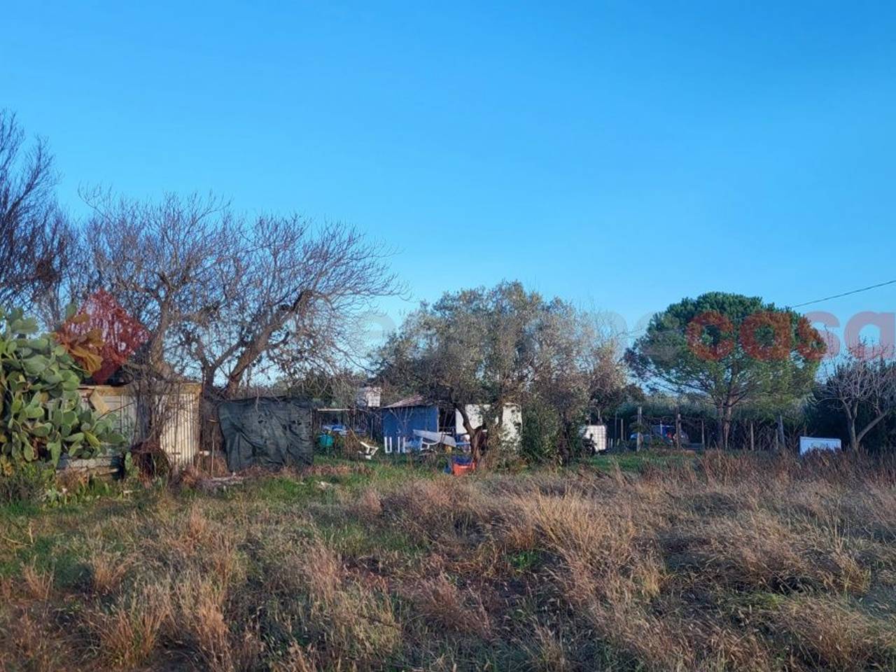 immagine annuncio 9 di 11