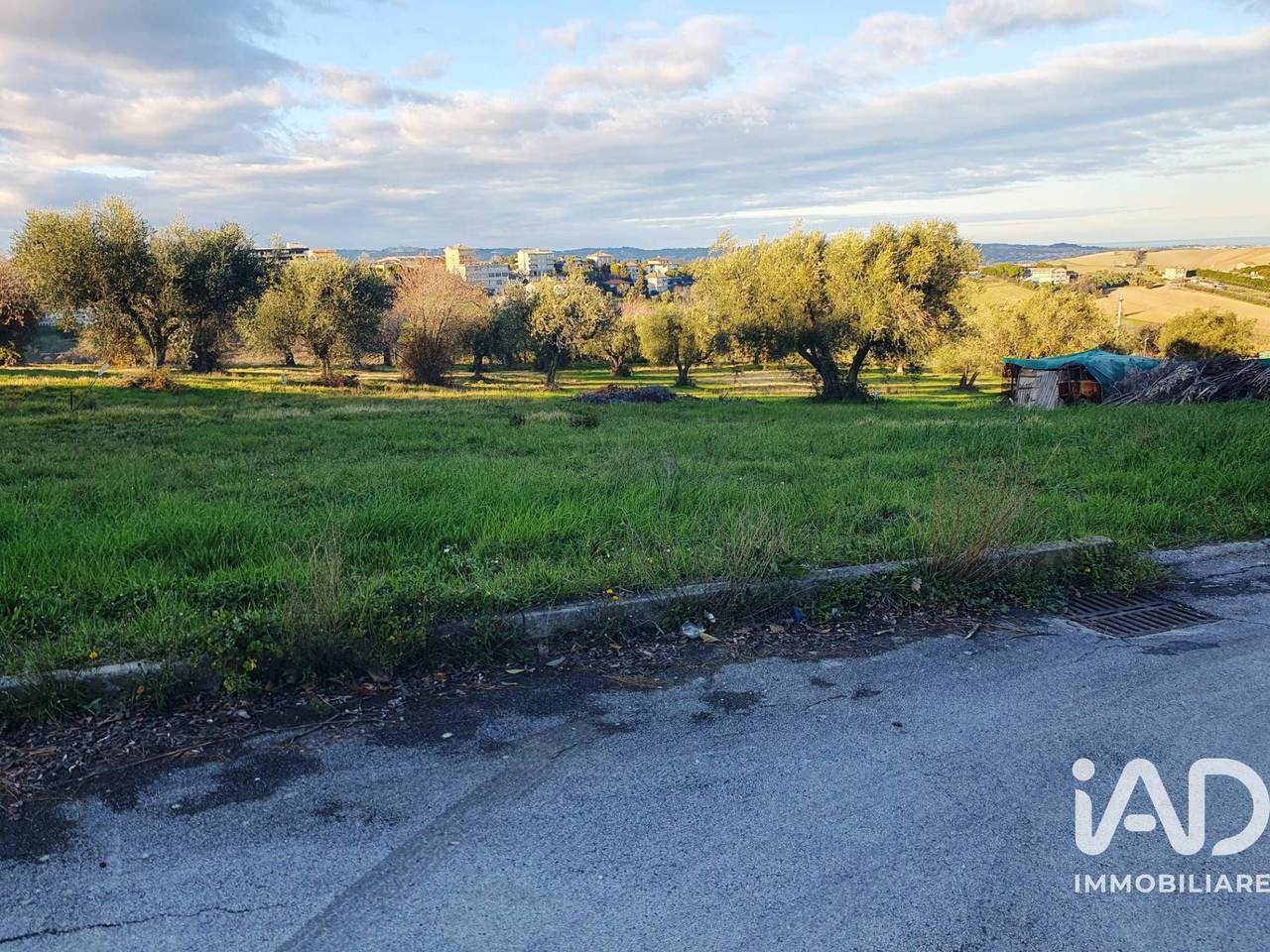 immagine annuncio 12 di 15