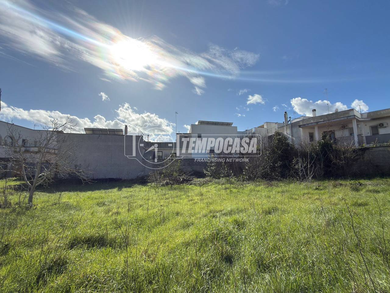 immagine annuncio 10 di 14