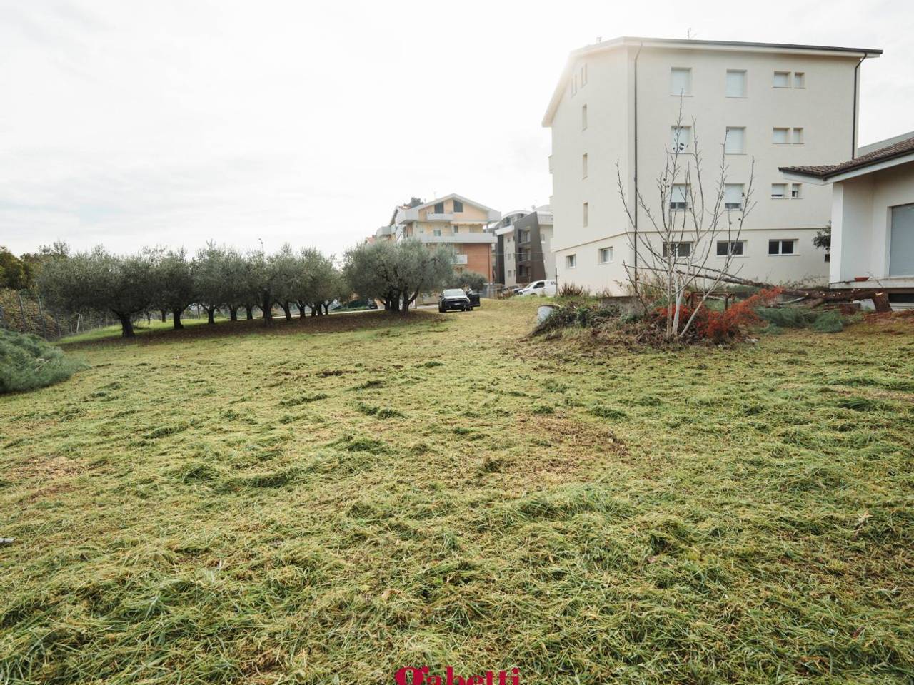 immagine annuncio 8 di 11