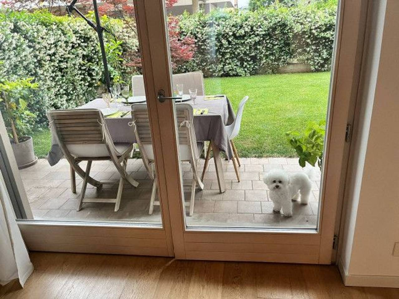 immagine annuncio 11 di 14