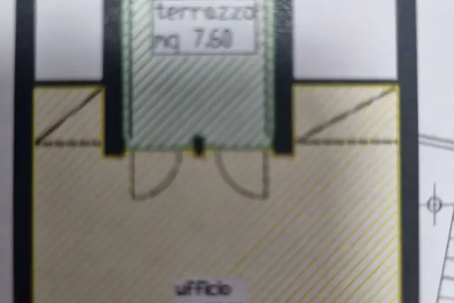 insertion image