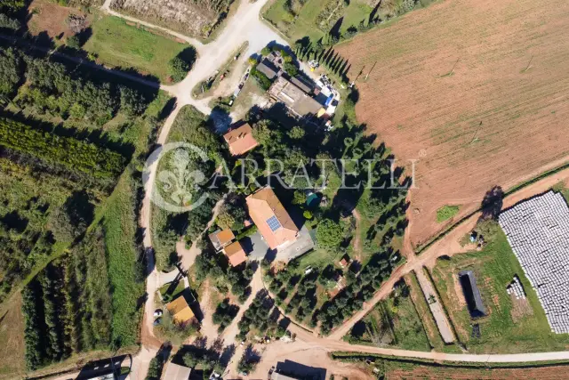 insertion image