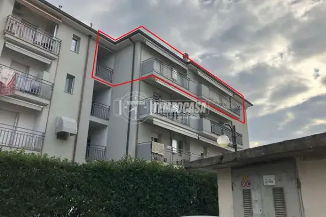 insertion image