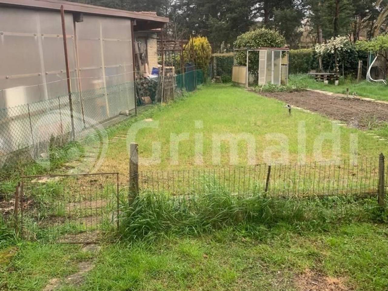 immagine annuncio 8 di 13