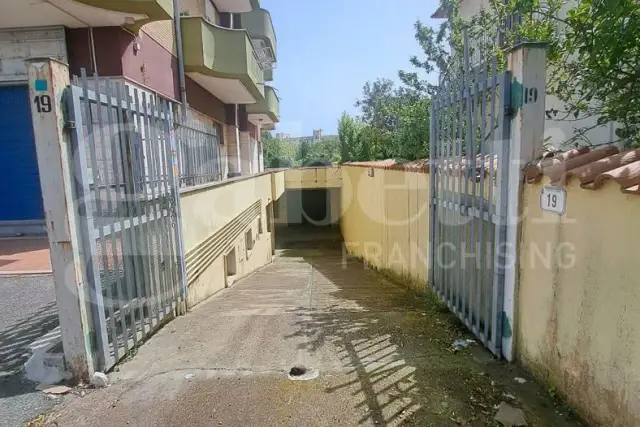 insertion image