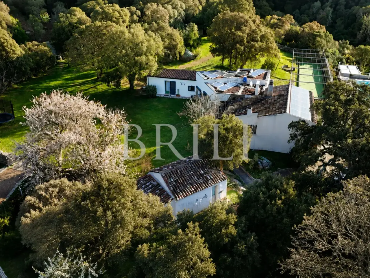 Azienda agricola in San Biagio, Aglientu, {3} - Foto 2