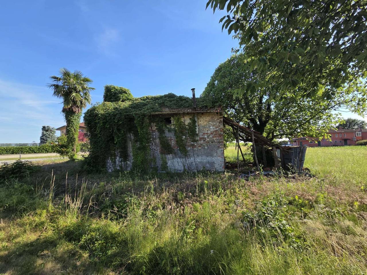 immagine annuncio 2 di 4