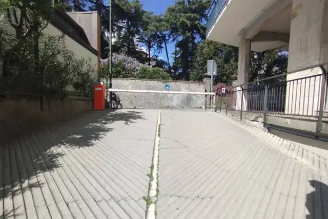 insertion image
