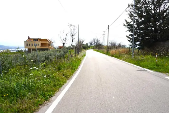 insertion image