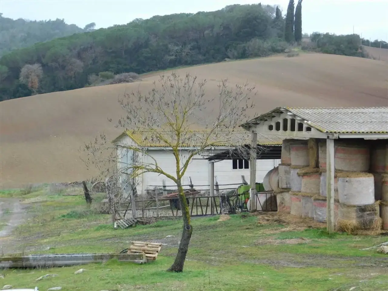Azienda agricola in , Gavorrano, {3} - Foto 1