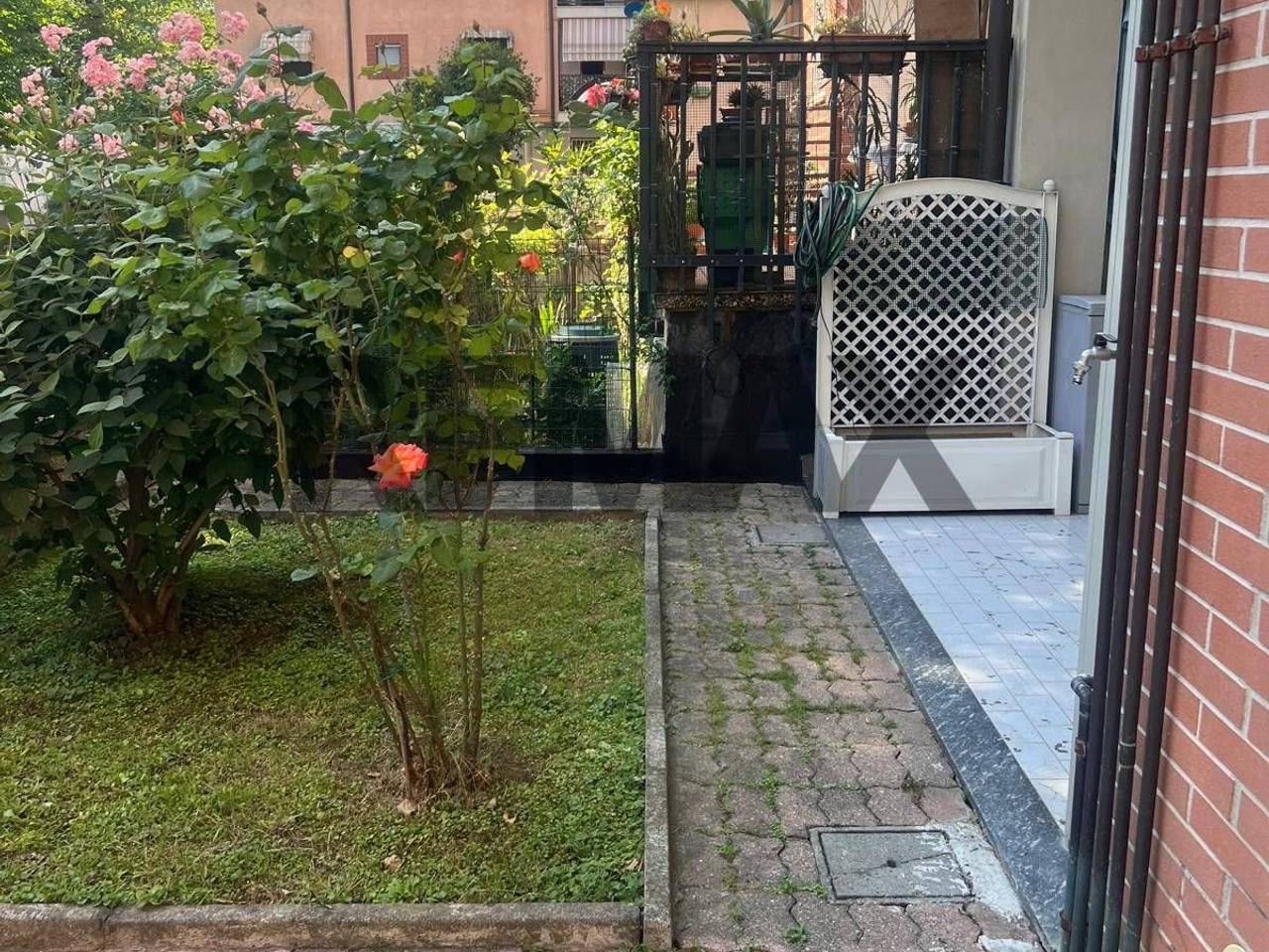 immagine annuncio 1 di 14