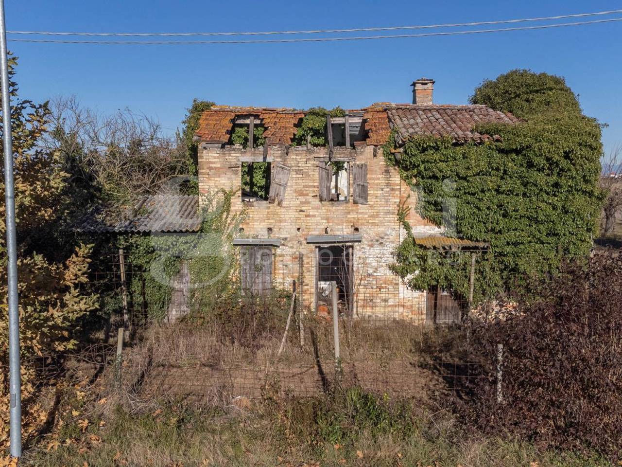 immagine annuncio 2 di 12