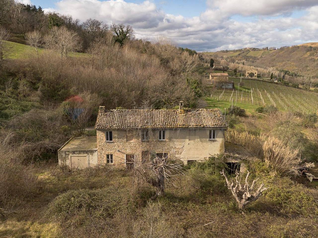 immagine annuncio 1 di 14