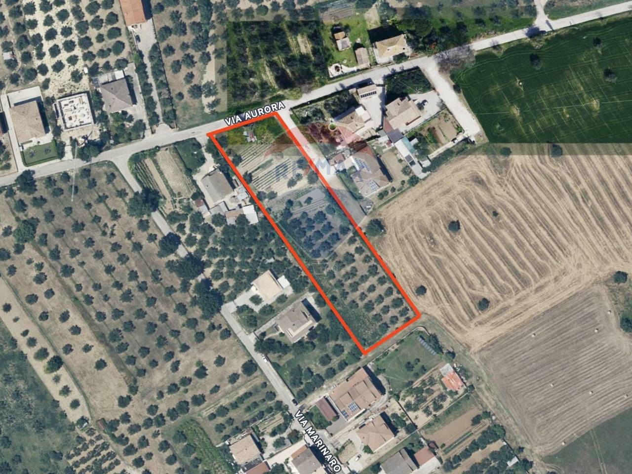 immagine annuncio 2 di 6