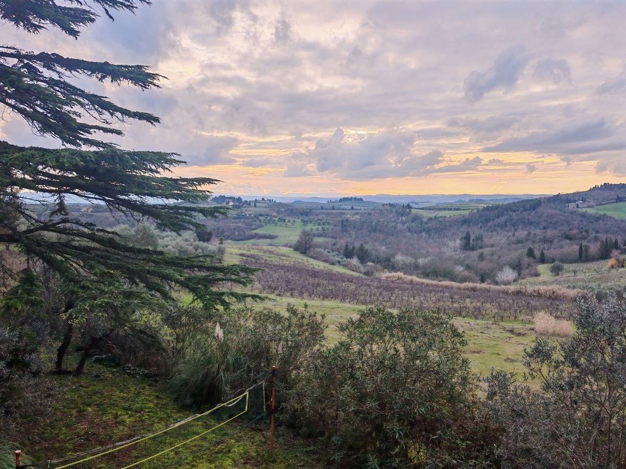 immagine annuncio 1 di 14