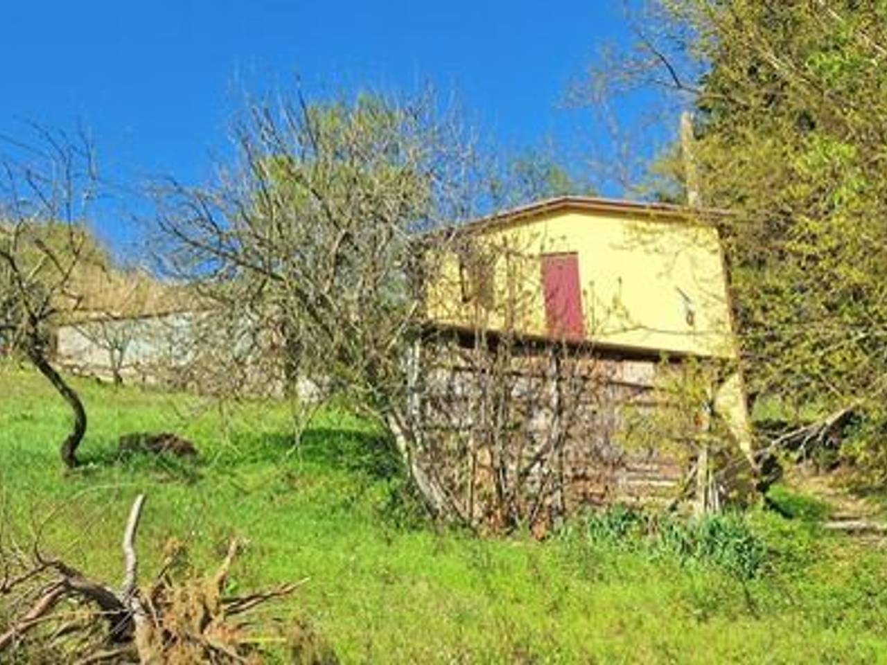 immagine annuncio 2 di 10